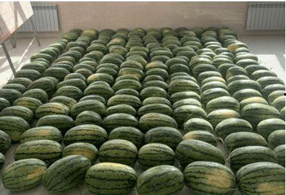 66校园吃瓜网,揭秘校园热点事件，带你领略校园风云