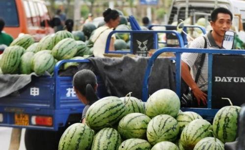 云南男网红吃瓜事件